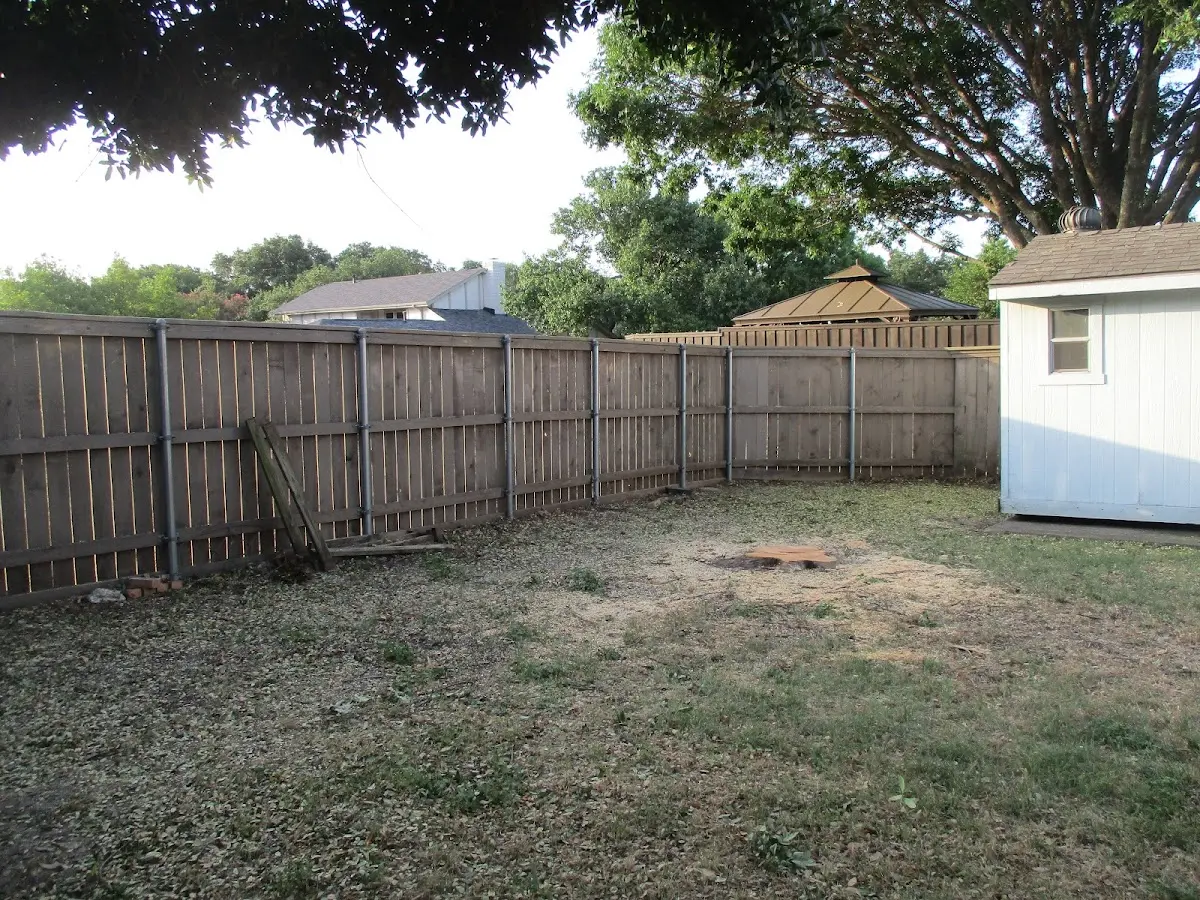 Cleared yard after professional tree removal in Saint Ansgar
